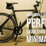 perfect-saddlebag-for-the-minimalist-cannondale-speedster-2