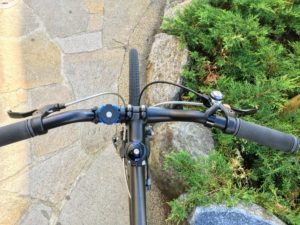 quad lock bike mount