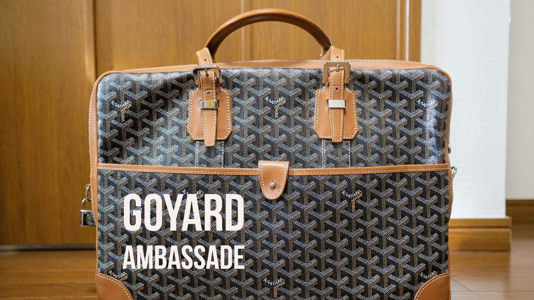GOYARD Ambassade PM Briefcase Business Bag Leather Orange Women Used F/S  Japan