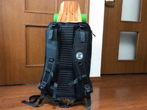 evolve backpack back